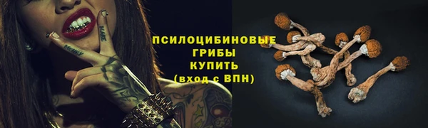 дурь Сосновоборск