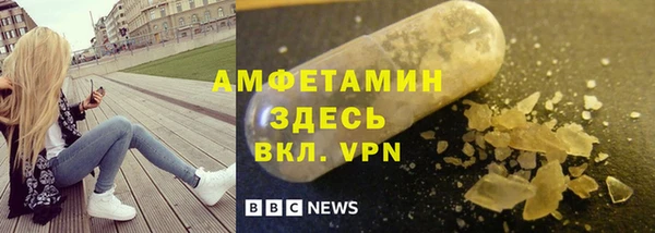 хмурый Сосновый Бор