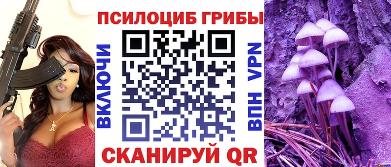 omg ССЫЛКА  Чусовой  Галлюциногенные грибы Magic Shrooms 