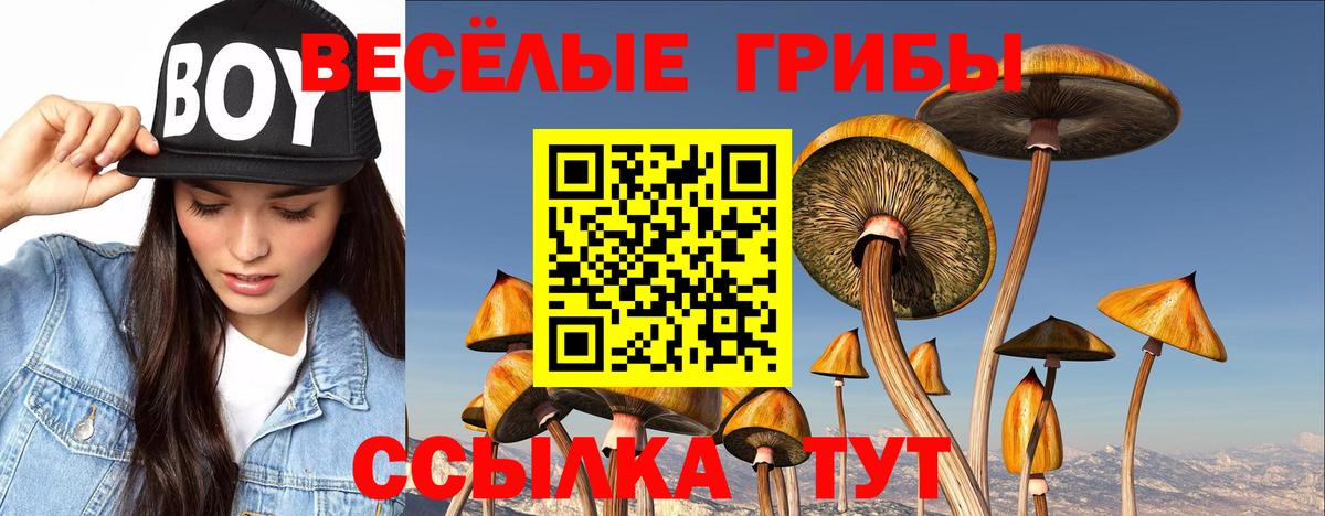 Галлюциногенные грибы ЛСД Чусовой